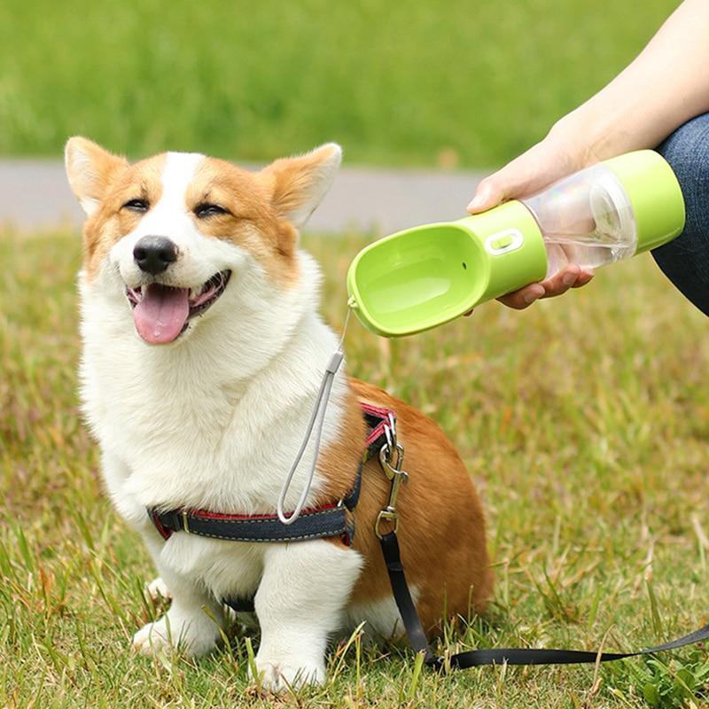 Água Pet - Garrafa de Água Para Cães e Gatos - basikhome